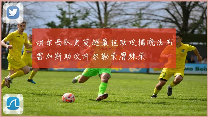 切尔西队史英超最佳助攻揭晓法布雷加斯助攻许尔勒荣膺殊荣